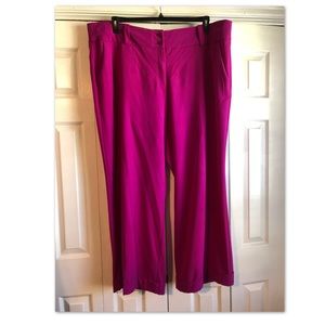 Lane Bryant Fuchsia  Dress Pants Size 28 Regular